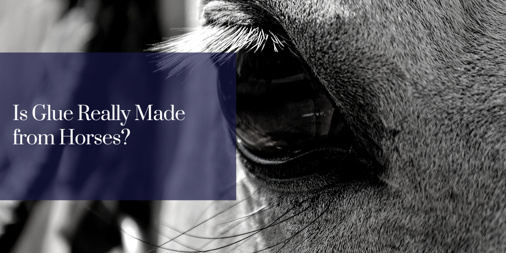 is-glue-really-made-from-horses